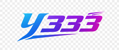 y 333 Logo